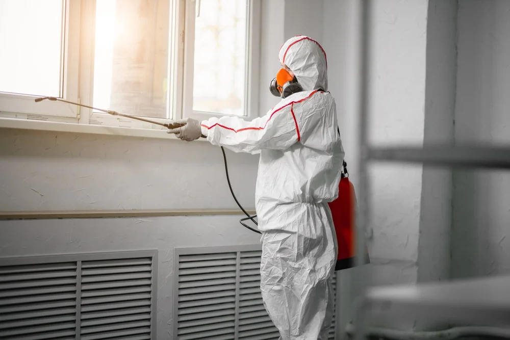 Professional mold remediation services in Nags Head, NC